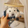 mobile bébé ours polaire dijon
